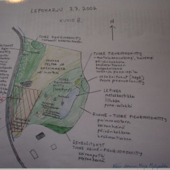 Name of the work: Kukkivan KiviPellon alue/ The area of Blooming Stone Field