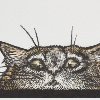 Name of the work: Peeping Tom Cat