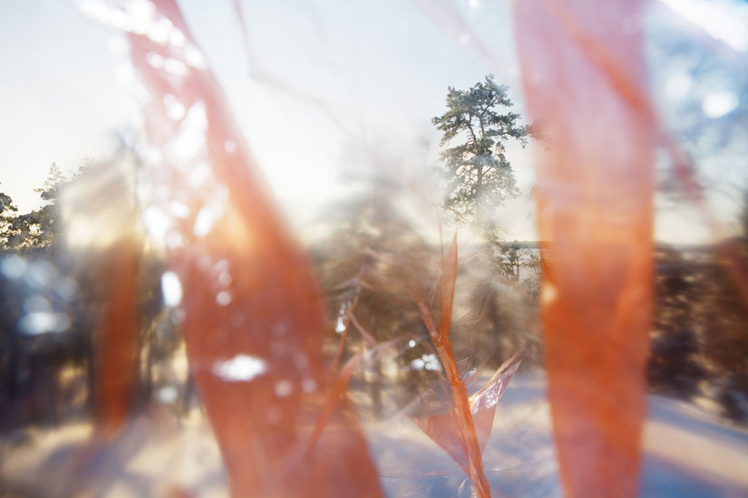 Kiinalainen talvi 7 / Chinese winter 7