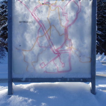 Name of the work: METROKOLI, julkinen ympäristötaideteos, Kolin kylä, 2008