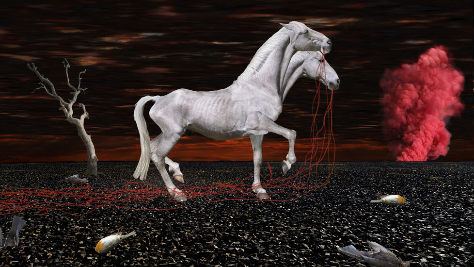 The Warhorse