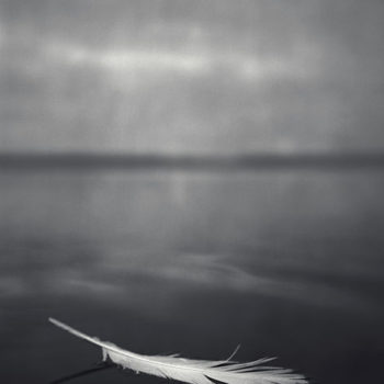 Name of the work: Feather on Water 2007