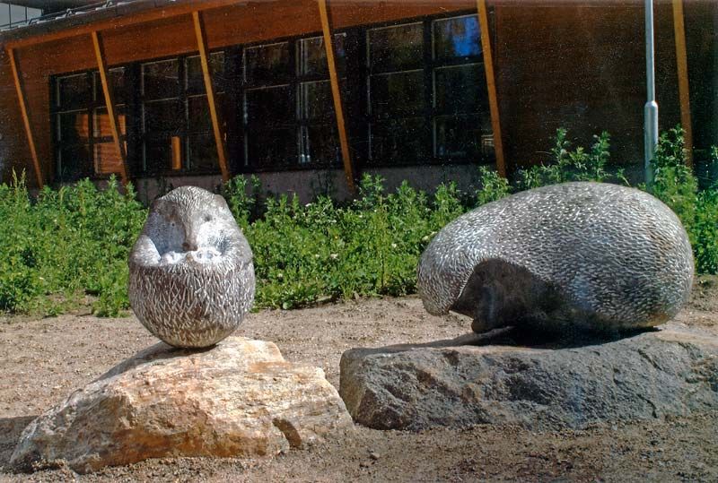 Pikkusiili emonsa kanssa 2006 pronssi, Salo Sirkkulan ala-aste, VK