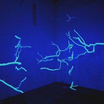 Teoksen nimi: installaatio Rajapyykki: Kangasalan harjulta myrskyn pudottamat männynoksat, galleria Forum Box,  (tila pimeässä uv-valossa), Yhteisnäyttely Kaaos Kalpenee 2001