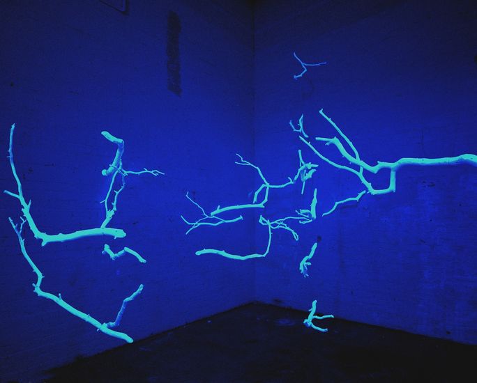 installaatio Rajapyykki: Kangasalan harjulta myrskyn pudottamat männynoksat, galleria Forum Box,  (tila pimeässä uv-valossa), Yhteisnäyttely Kaaos Kalpenee 2001