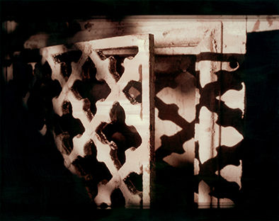 Luunkerääjä / Bone collector