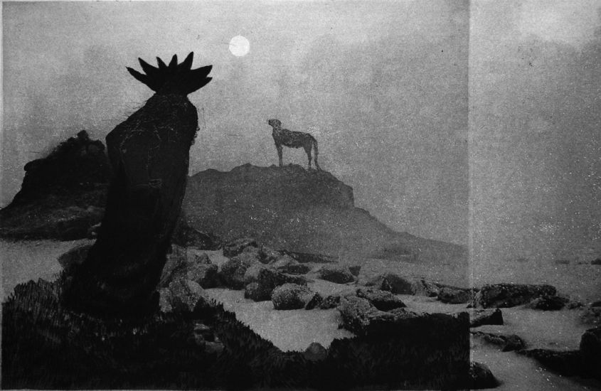 Kalpea kuu / Pale moon