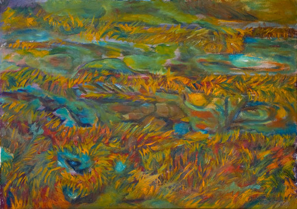 Suolta, 2012, öljy kankaalle, 50 x 70 cm