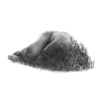 Name of the work: Metsänpeitto