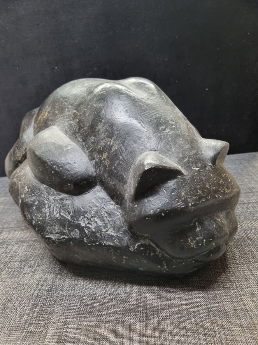 Kissa makuulla kipsi