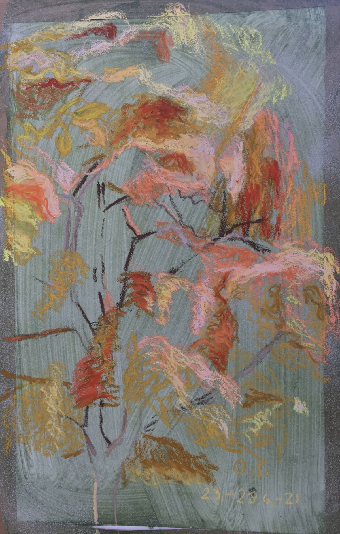 Puun kesä 23.-26.8.2021 I sarja