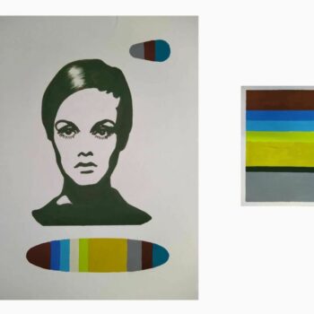 Name of the work: Twiggy’s colours