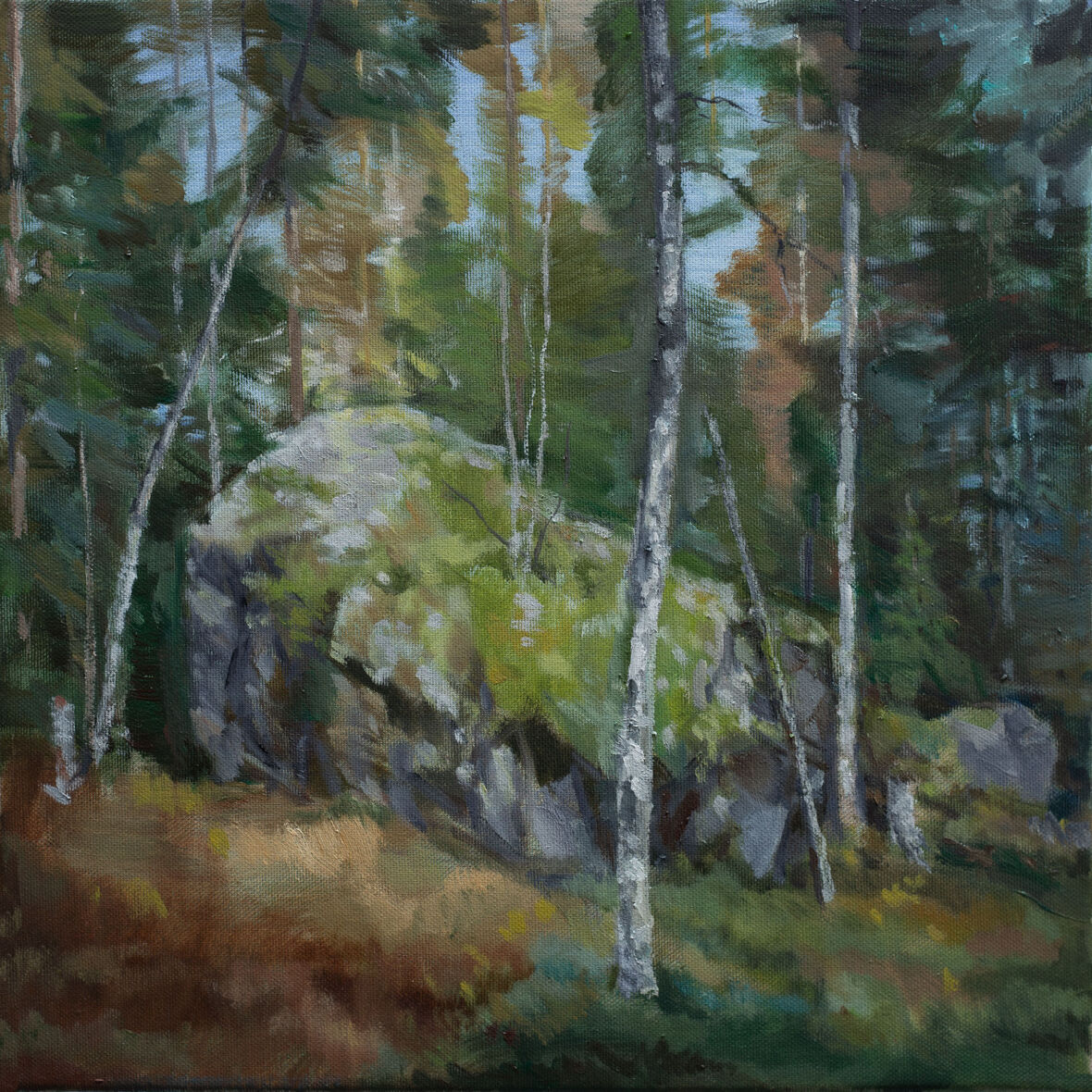 Siirtolohkare Koirasuonmäellä