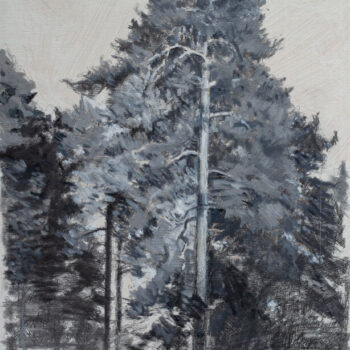 Teoksen nimi: Ilta-aurinko