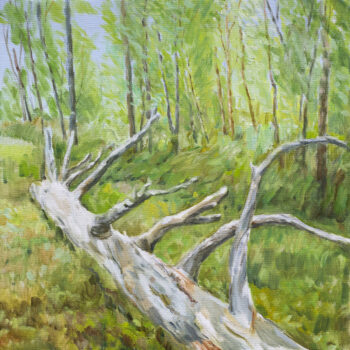 Teoksen nimi: Pyrynmaa (Pyryeennâm)