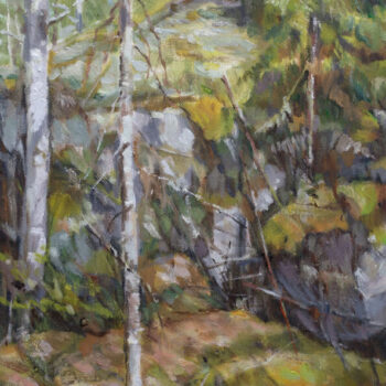 Teoksen nimi: Koirasuonmäki