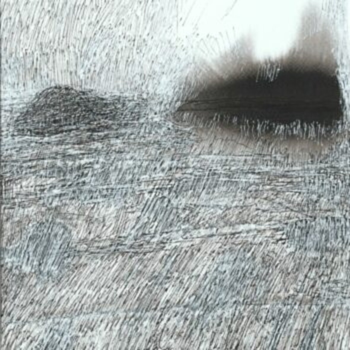 Name of the work: Kun vevätvalo tulee/When the spring light comes