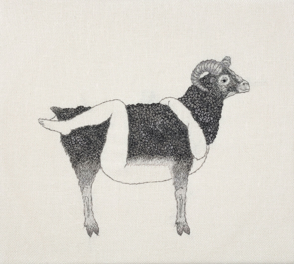 Näkyjä ja näkymiä XV