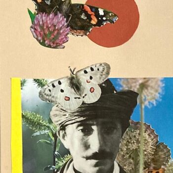 Name of the work: No 7 sarjasta Perhoset