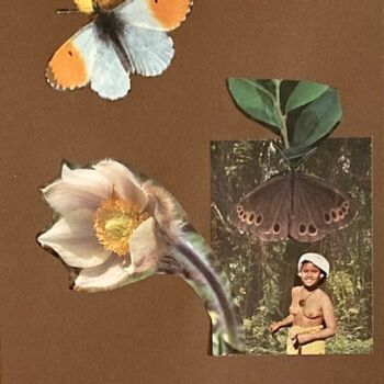 Name of the work: No 6 sarjasta Perhoset