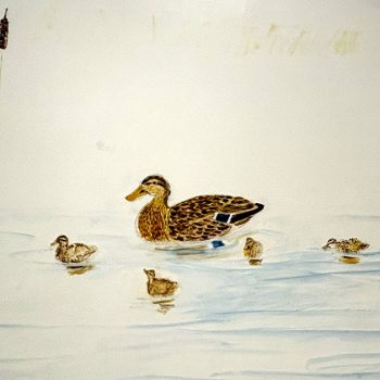 Additional work image