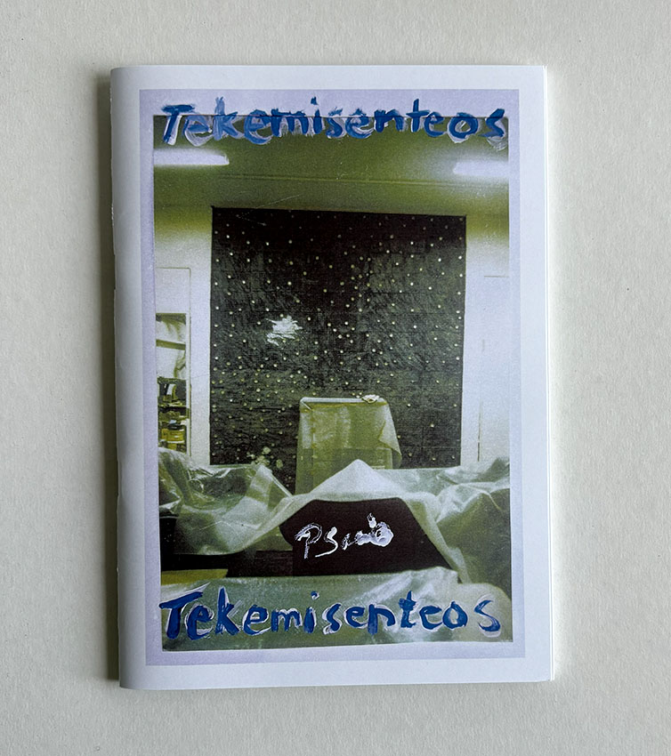 Tekemisenteos -taiteilijakirja