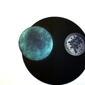 Teoksen nimi: Adams event 1