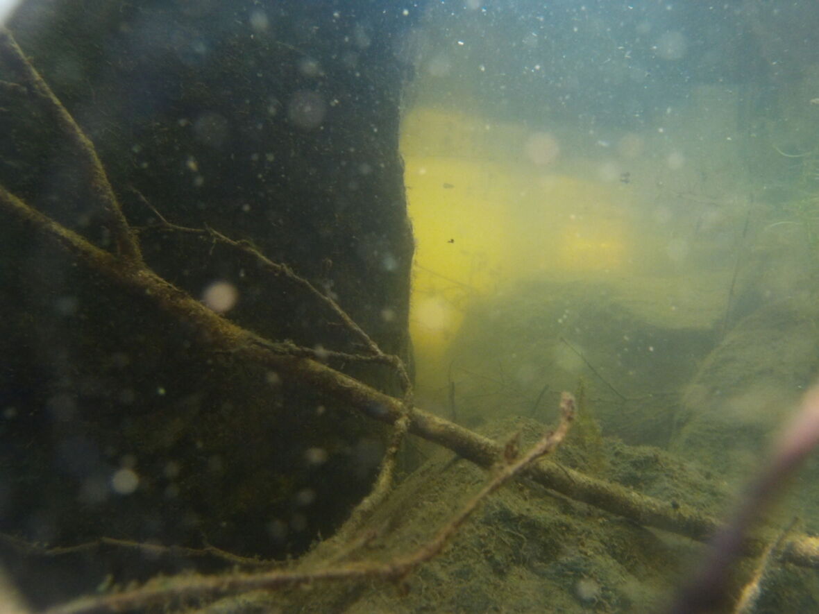 Järvenpohjan valoa, 2022, video, 18:06min