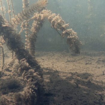 Additional work image