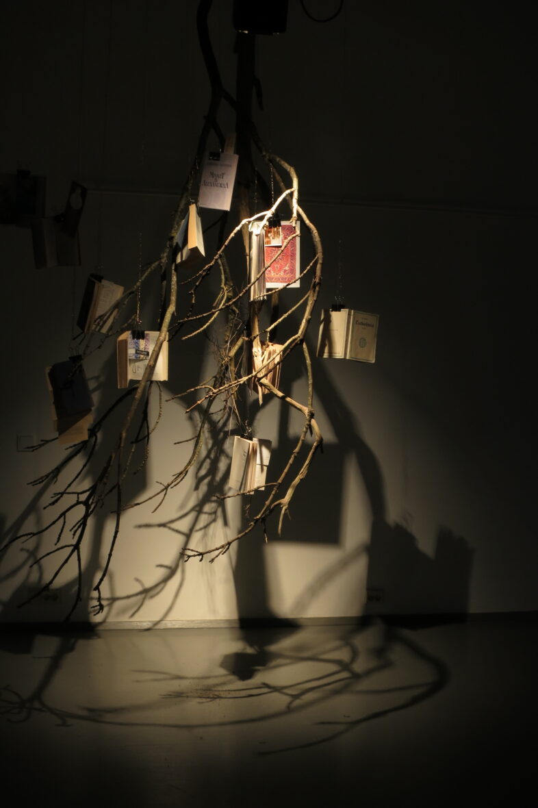 Läydetty kirjasto, 2025