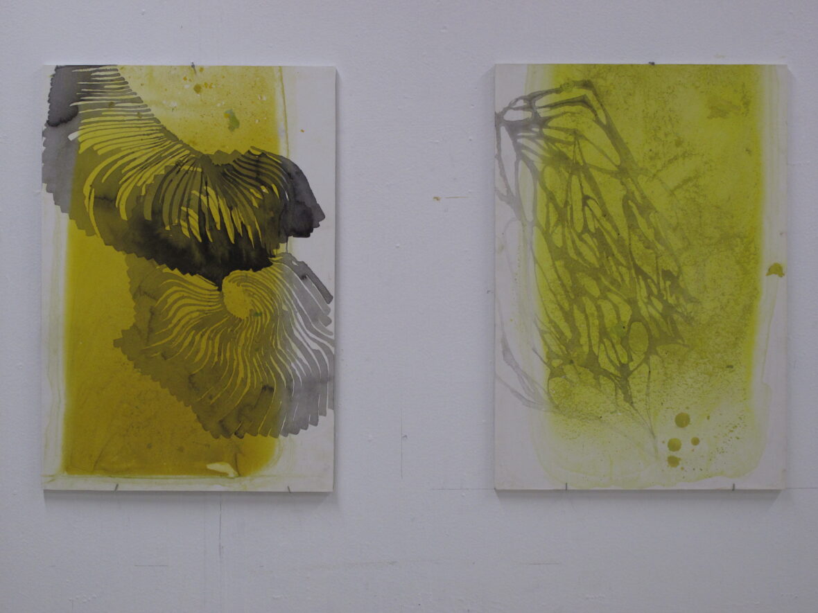 sarjasta Värikerroksia, 2019-2022