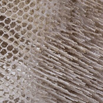 Additional work image