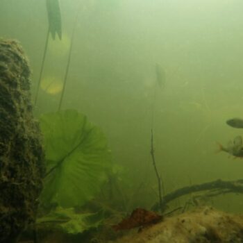 Additional work image