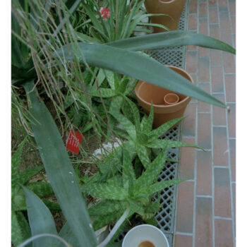 Additional work image