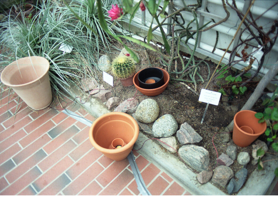 Keskusteluja kasvien kanssa, 2008