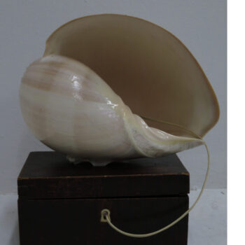 Name of the work: Äänisimpukka2, 2019