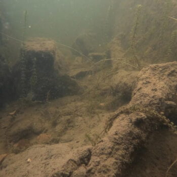 Name of the work: Järven Valo, still kuva videosta, 2025