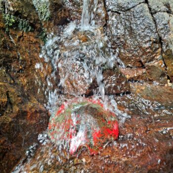 Teoksen nimi: Miraakkeli 2024