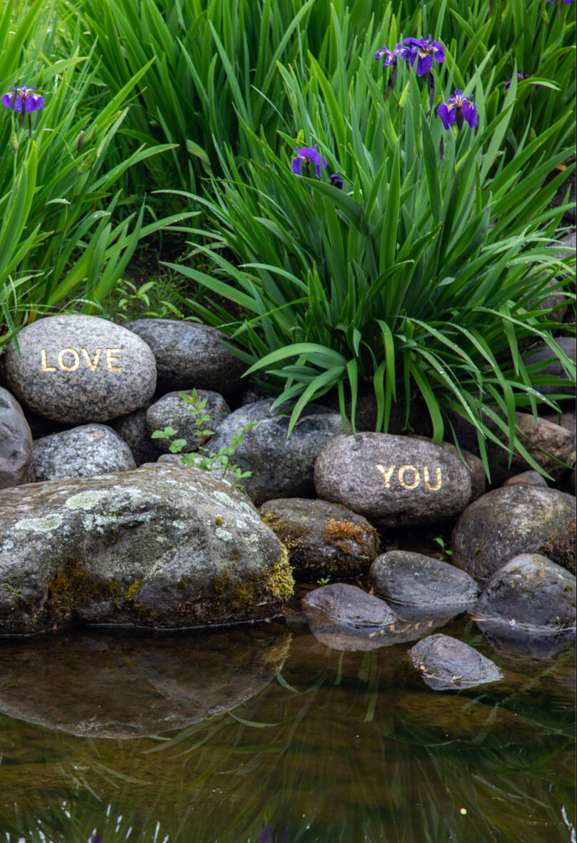 Love, play, respect nature and let the art bloom!