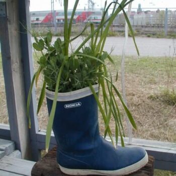 Name of the work: Potkua elämään, kenkää kulutukselle!