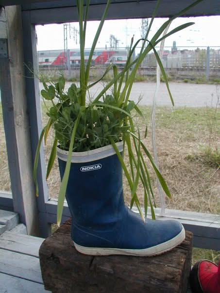 Potkua elämään, kenkää kulutukselle!