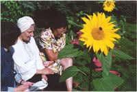 Additional work image