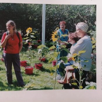 Name of the work: Koti taidelaboratorio