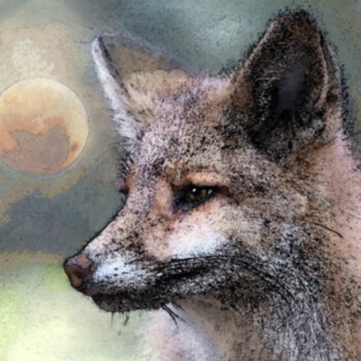 Name of the work: Valkonaamakettu/ Whiteface fox