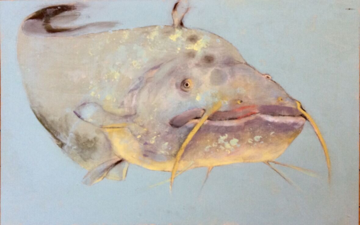 Elämänvirtaa/ Lifestreaming