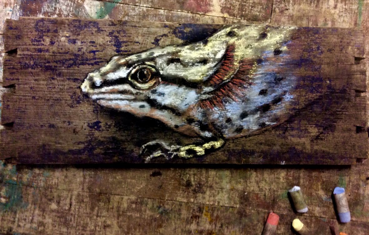 Lähdesuoja/ Spring-Source protection: Pappilanoja, Elämänlähde, Kuninkaanlähde, Kultajärvi