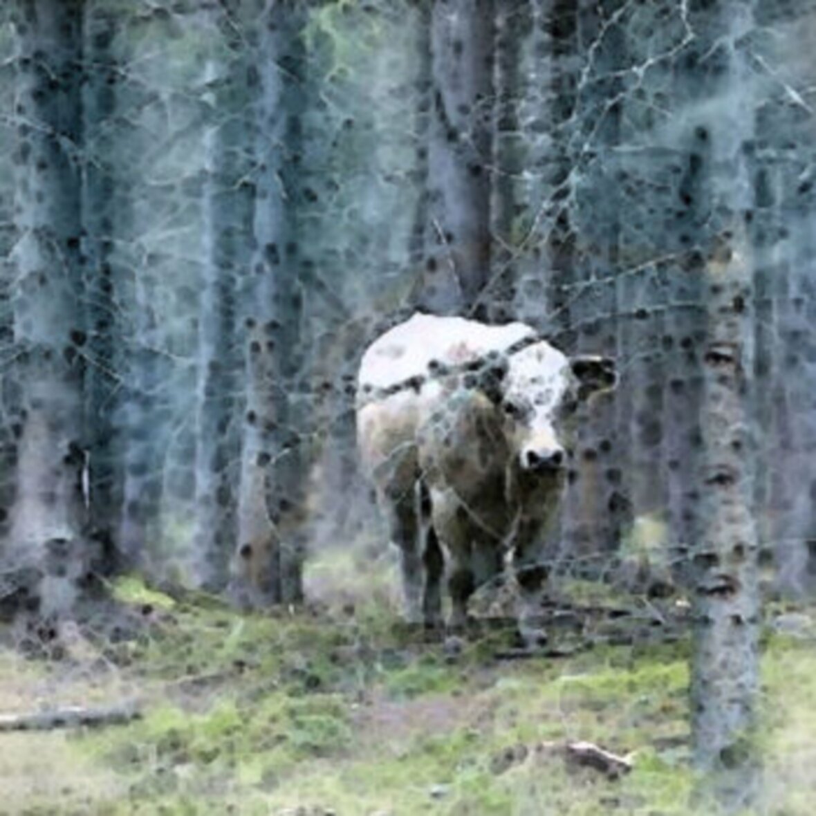 Additional work image