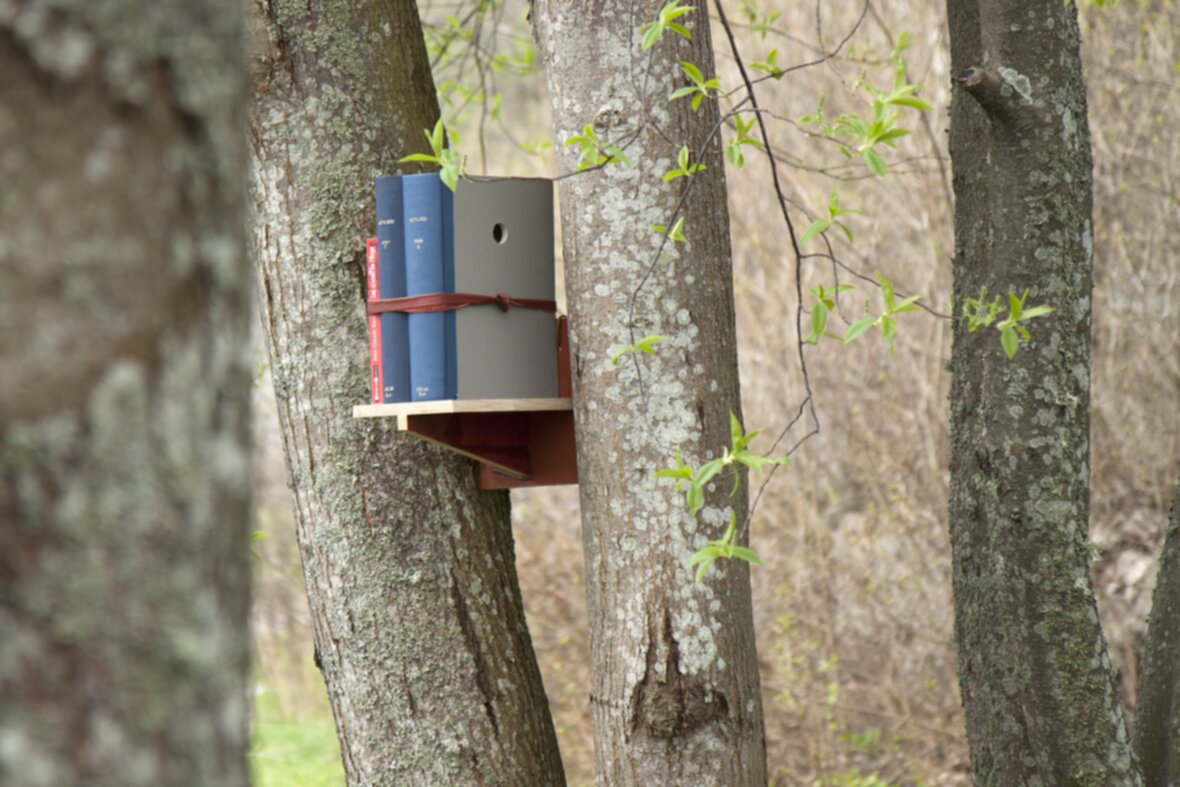 PARASKEVAN LINNUT VII: Kirjasto