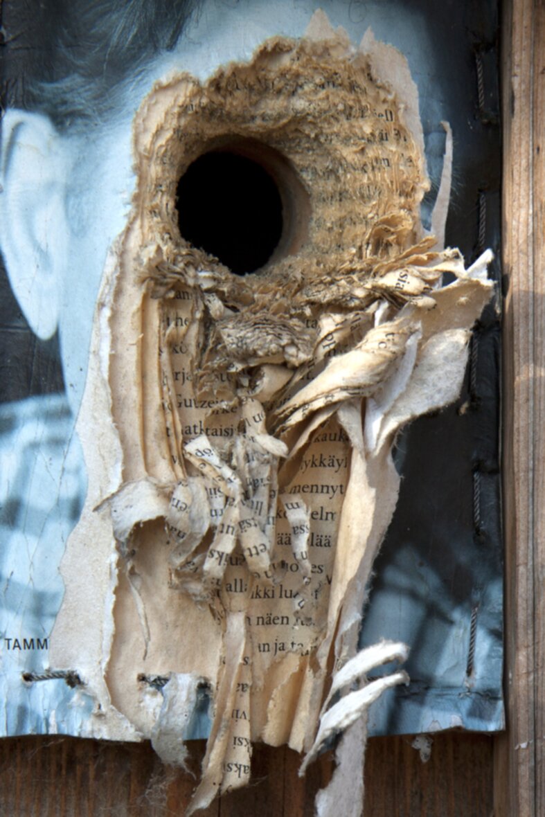 PARASKEVAN LINNUT VIII: Pentti