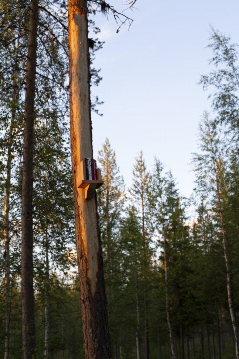 Tabu.Pihka / Taboo.Resin